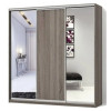 Шафа-купе Комбо фасади 3 двері (ДСП-Дзеркало-ДСП) h=2400