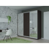 Шафа-купе Комбо фасади 3 двері (ДСП-Дзеркало-ДСП) h=2400